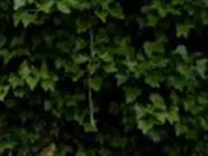devis débarras Braine - Environnement Valorisation Négoce