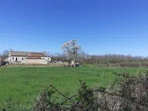 devis débarras Chassenard - Déchèterie Dompierre-sur-Besbre