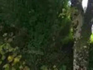 devis débarras Rosiers-d'Égletons - Déchèterie de Neuvic