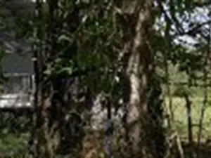 devis débarras Beaumontois en Périgord - SMD3 antenne de Belvès