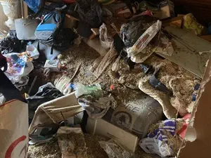 devis débarras Avanne-Aveney - DÉBARRAS GRATUIT MAISON APPARTEMENT BESANÇON EXPRESS