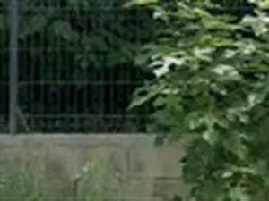 devis débarras Savasse - Mann Environnement