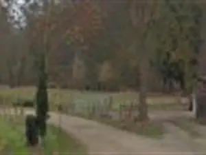 devis débarras Pacy-sur-Eure - Débarrasservices