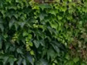 devis débarras Vert-en-Drouais - L'EXPERTISE C DÉBARRAS SUR MESURE
