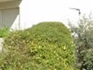 devis débarras Clarensac - Debarras-UZÈS