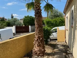 devis débarras Abeilhan - Beziers Debarras - Entreprise de Débarras (Vide maison, appartement, locaux)