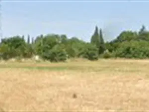 devis débarras Marseillan - Débarras Montpellier et Hérault - Pro Débarras 34
