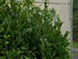 devis débarras Châtillon-sur-Indre - Vide et Débarras
