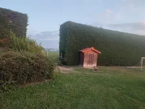 devis débarras La Pacaudière - POUILLY LES NONAINS (AS)
