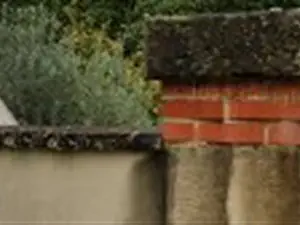 devis débarras La Ferté-Saint-Aubin - Debarras-pro-services
