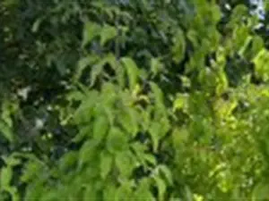 devis débarras Le Mesnil-sur-Oger - Déchèterie communautaire de Pierry