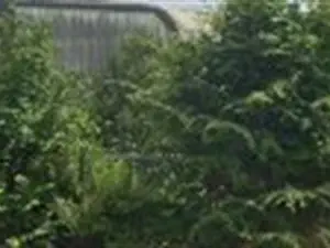 devis débarras Épernay - AUREADE - Centre de transfert - Veolia