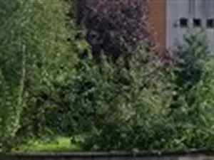 devis débarras Anzin - Valmetal SA