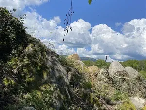 devis débarras Mont-Dore - Déchetterie sud-ouest Clermont Métropole