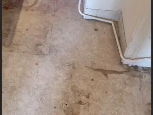 devis débarras Soumoulou - ProcleanPau Débarras & Nettoyage Assat-Pau