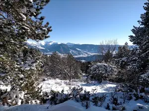 devis débarras Font-Romeu-Odeillo-Via - 66120 Font-Romeu-Odeillo-Via