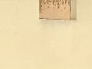 devis débarras Champagné - Débarras 72