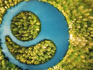 devis débarras Grisy-Suisnes - AVR Environnement