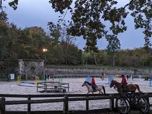 devis débarras Maisons-Laffitte - Les Caves du Nord