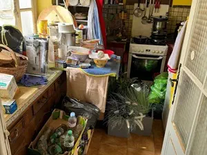 devis débarras Ladignac-le-Long - Nettoyage Extrême 87