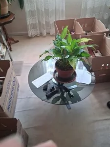 Débarras eco:Débarras maison et appartement