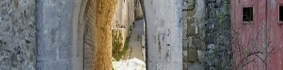 BDS 